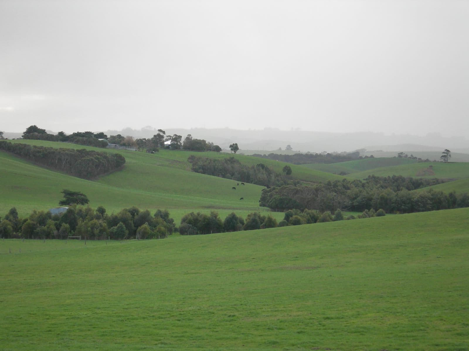 Rolling South Gippsland farmland used to frame Korumburra's inland buyer appeal